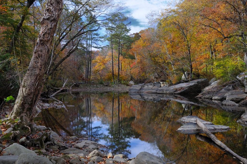 Bucks Pocket Creek in Fall 