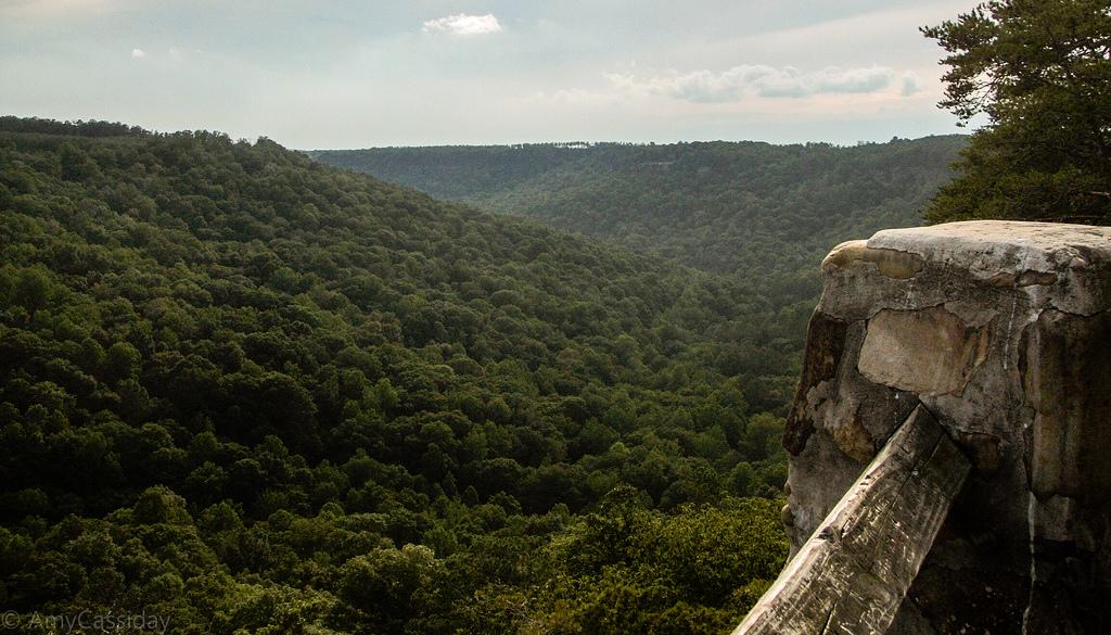 Bucks Pocket Overlook