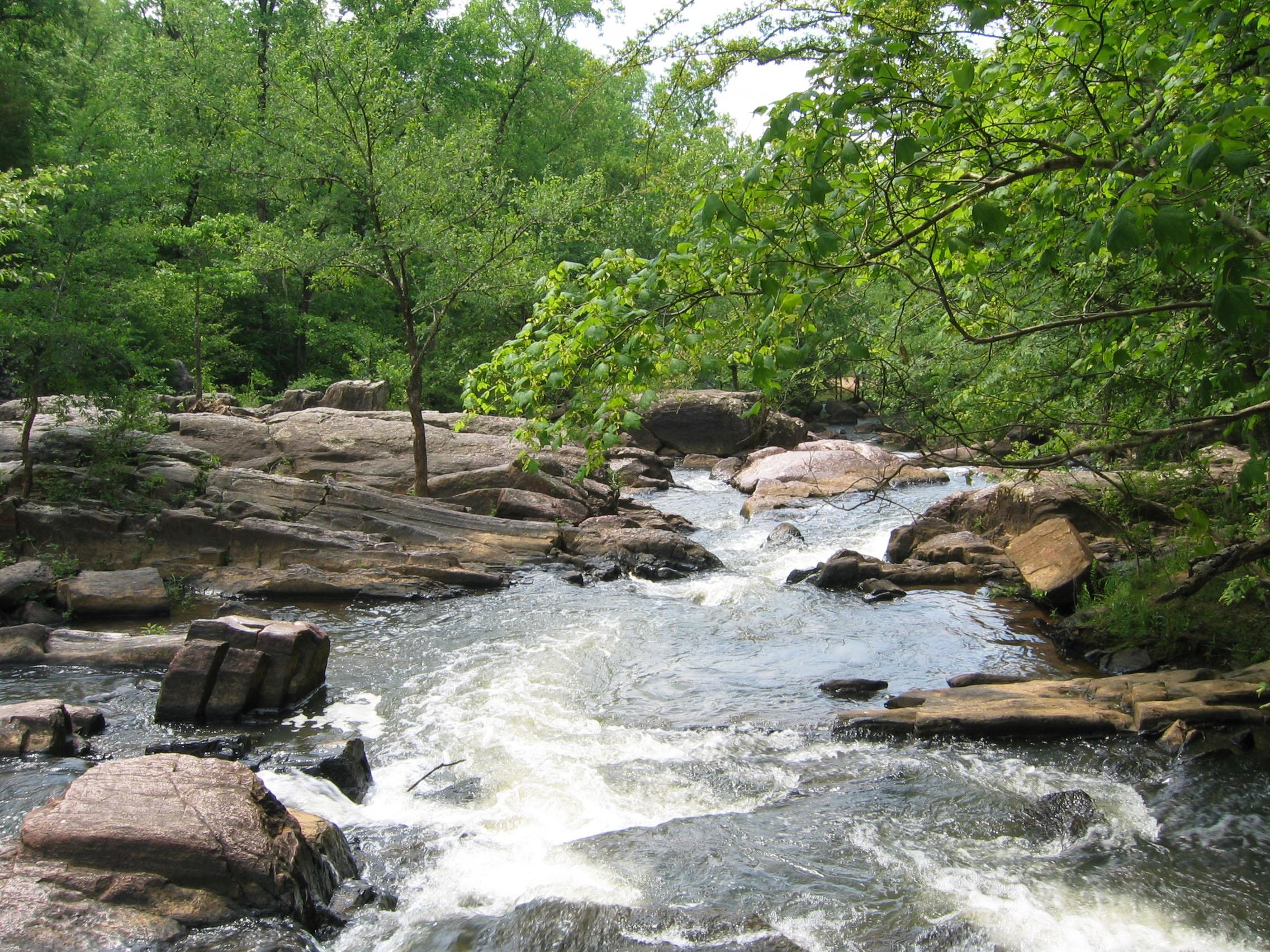 Chewacla State Park Flowing Creek with Rocks