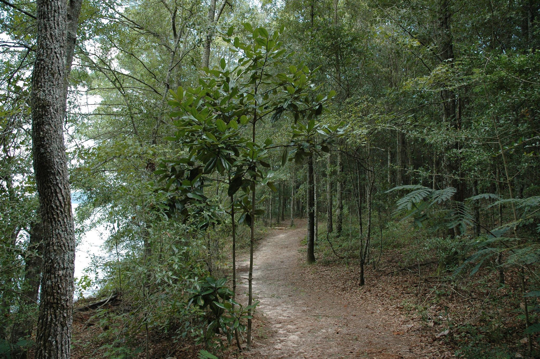 Frank Jackson State Park Trails