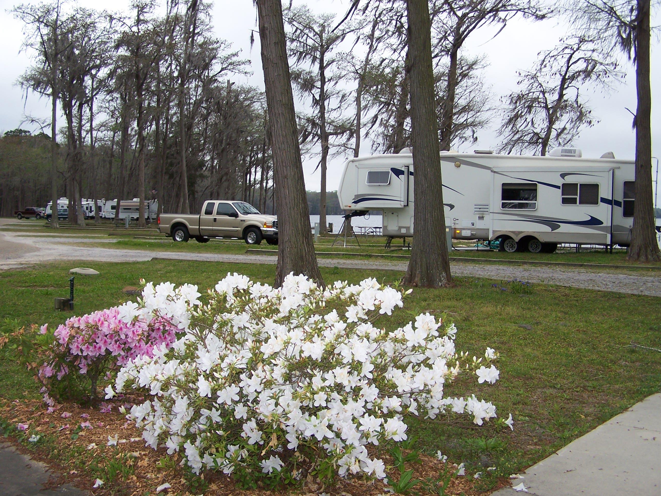 Lake Jackson RV Park Campgrouns Azaleas