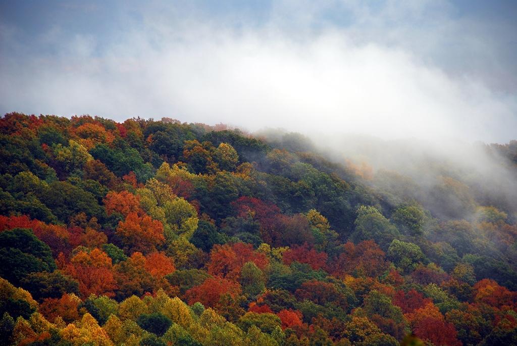 Monte Sano State Park Alapark