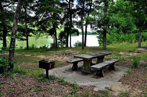 Roland Cooper State Park Picnic Area 
