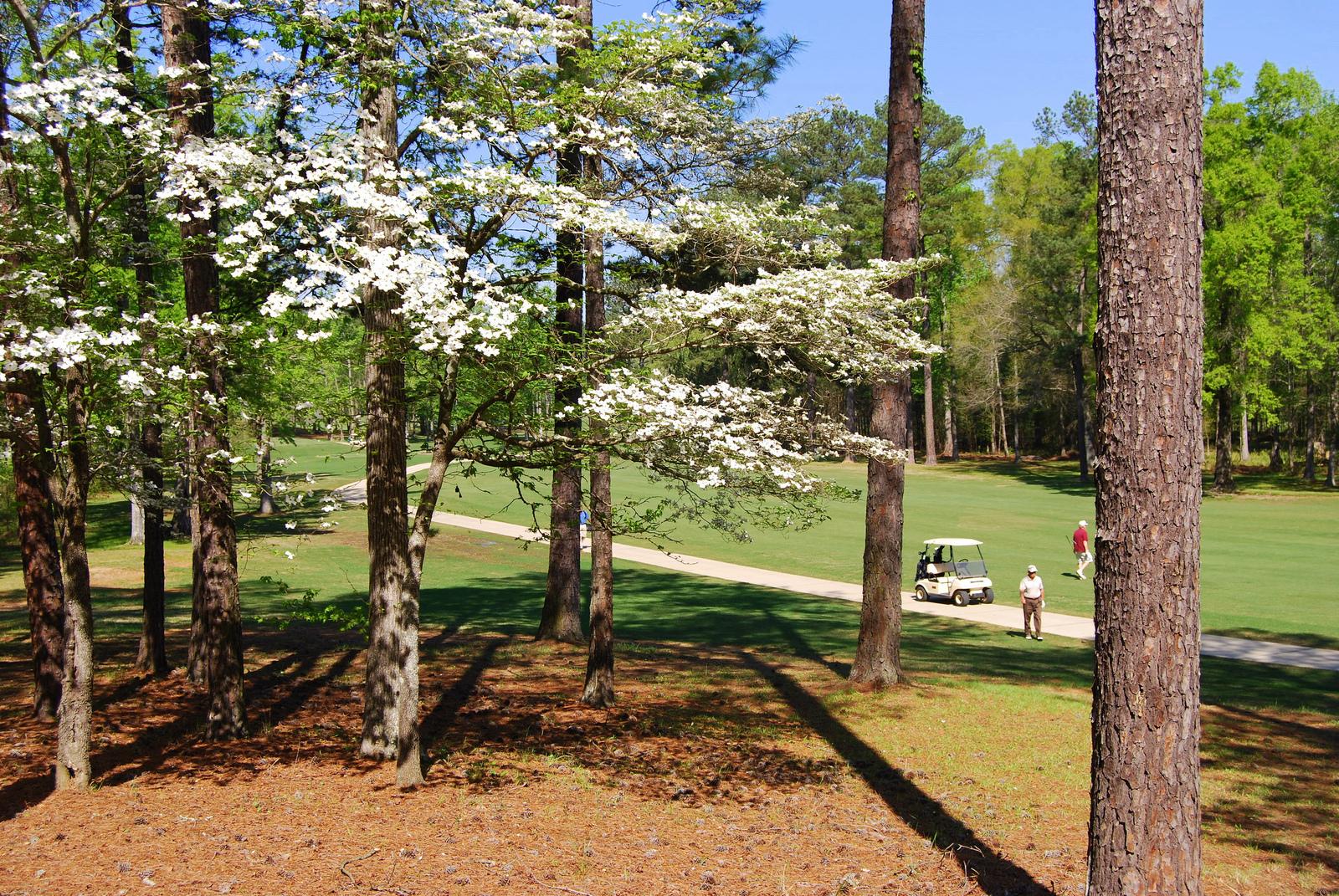 Golf Course at Oak Mountain State Park