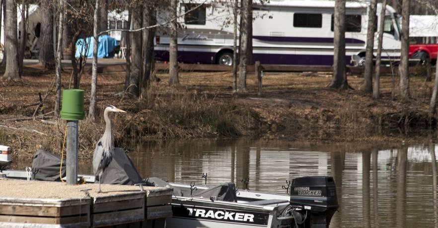 Lakepoint Campground view from Lake