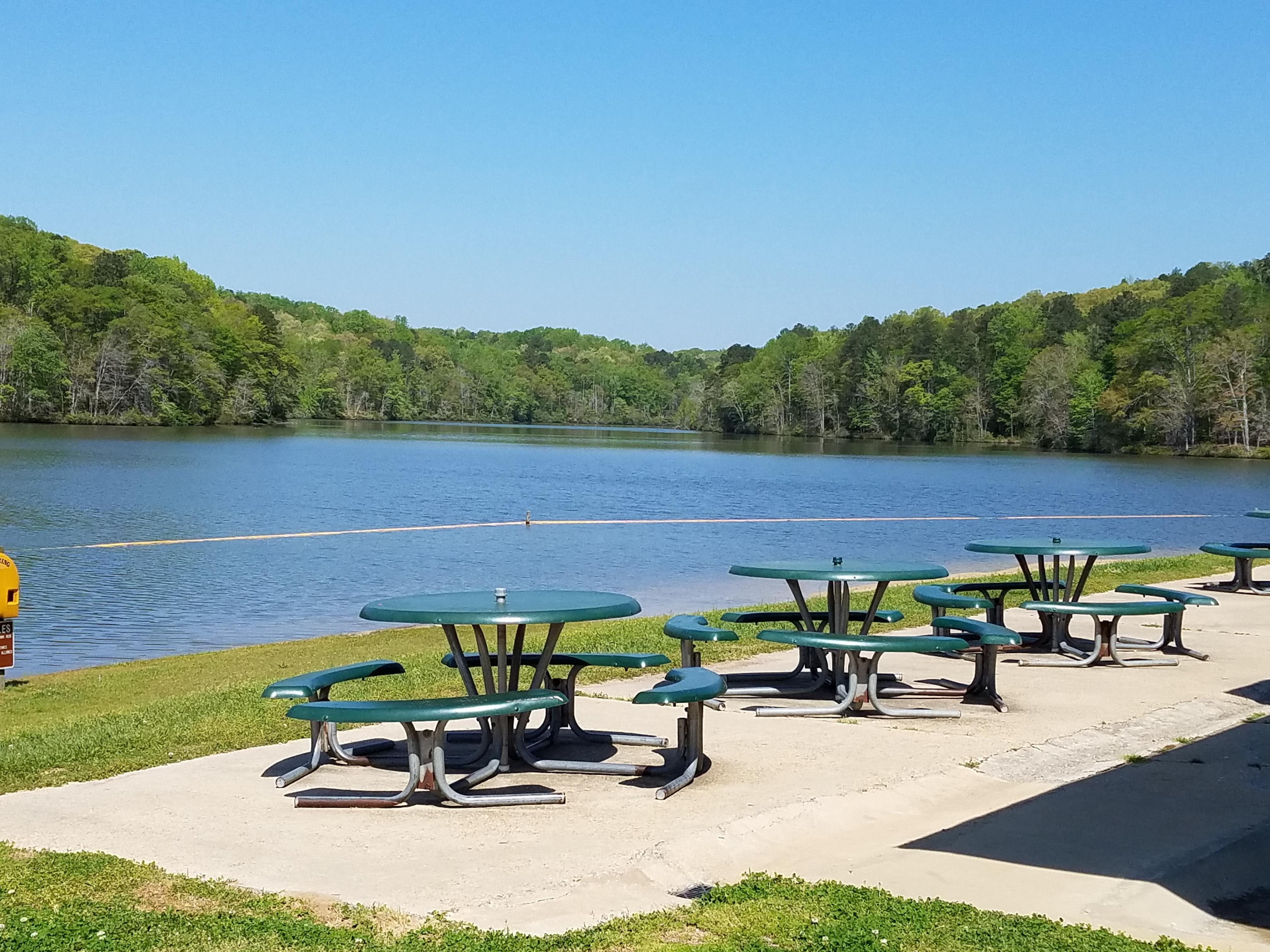 beach picnic area