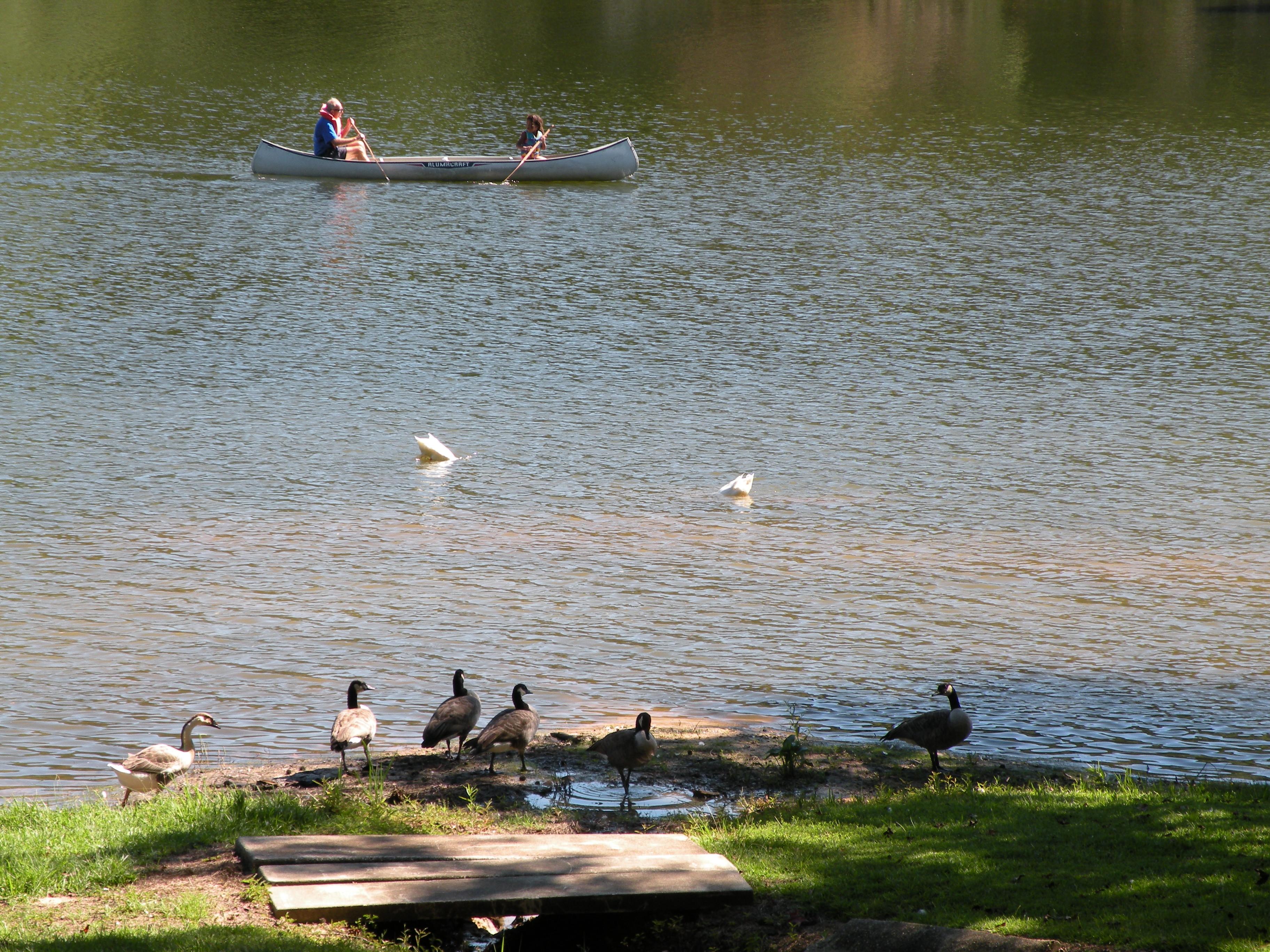 canoe on lake