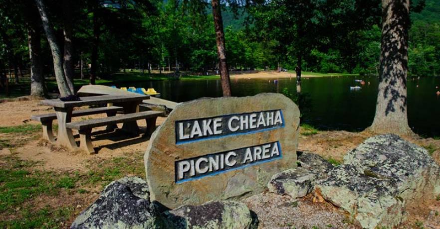 Cheaha Lake Picnic Area