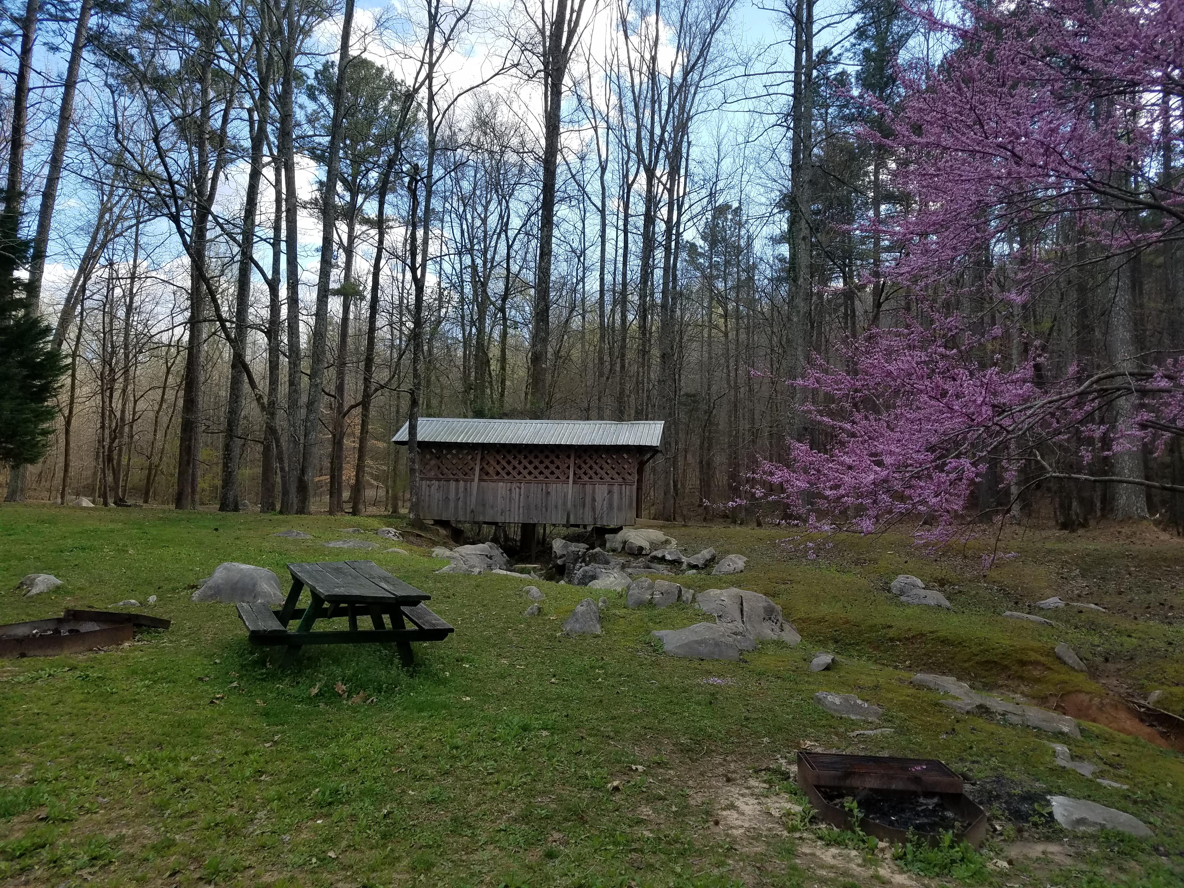 Covered bridge in spring