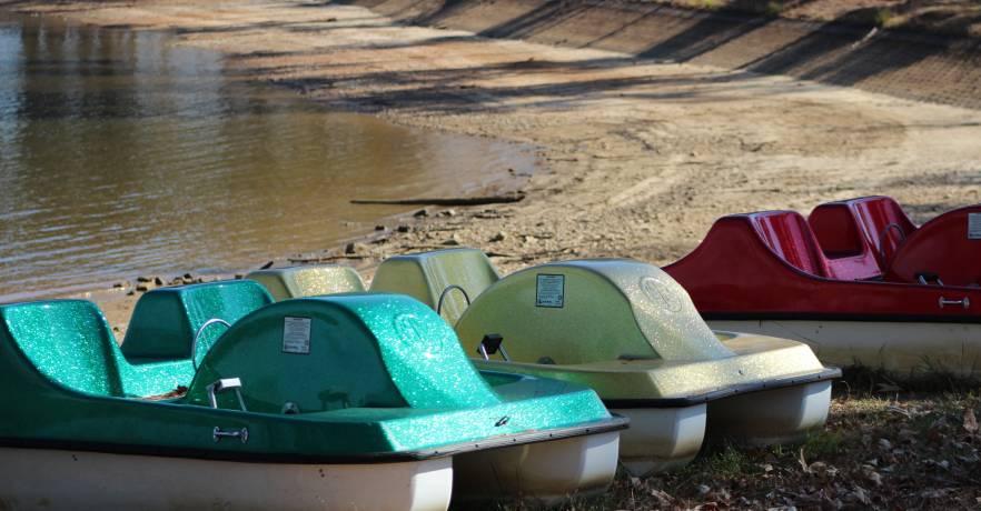 Paddle boats