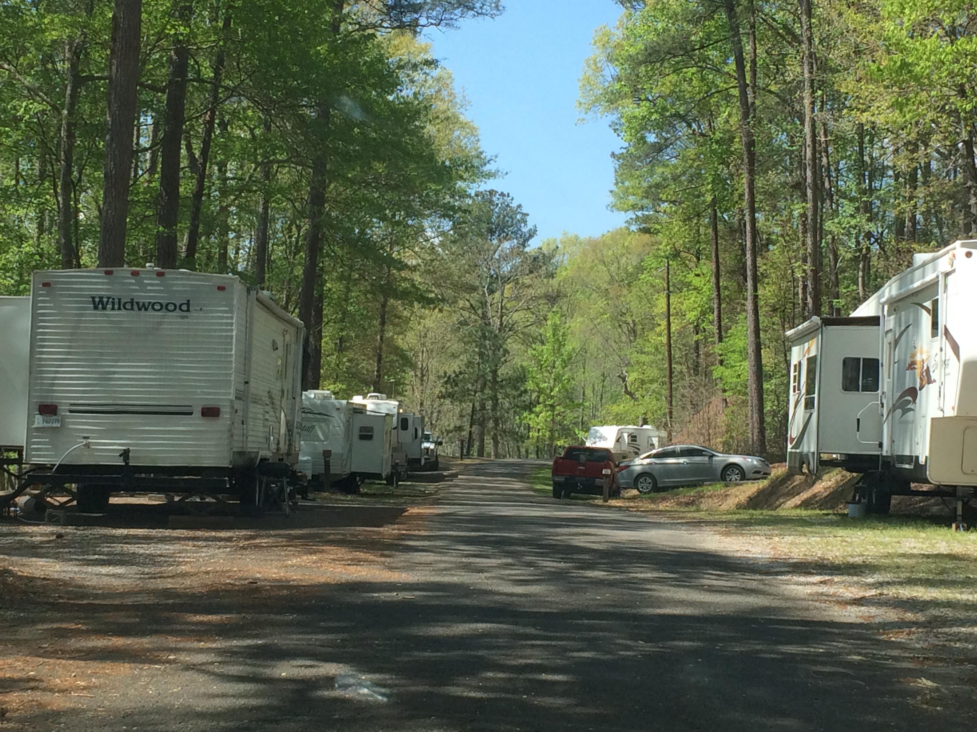 d section campsites