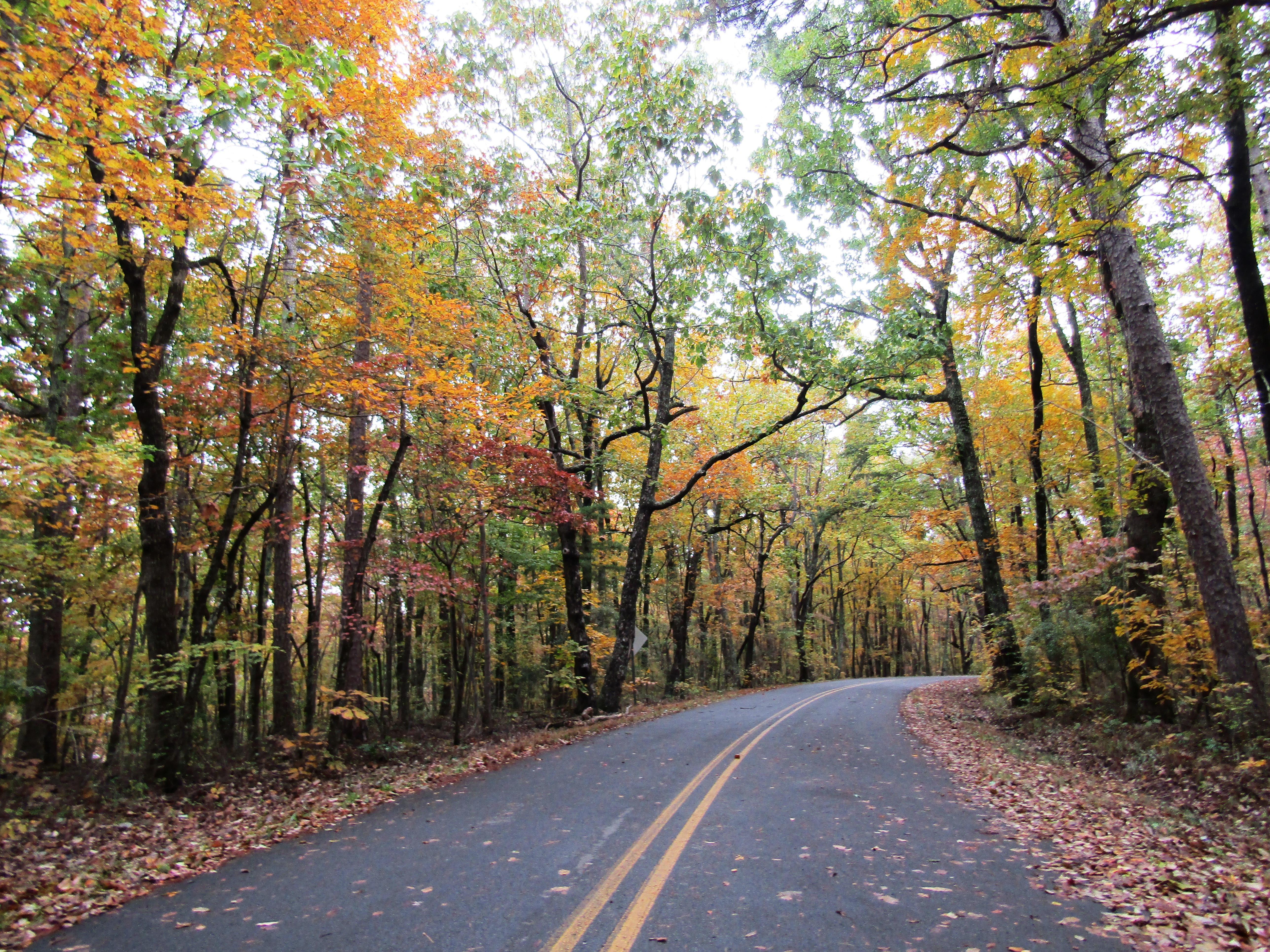 DeSoto State Park Lookout Mountain Parkway Fall Color 2018