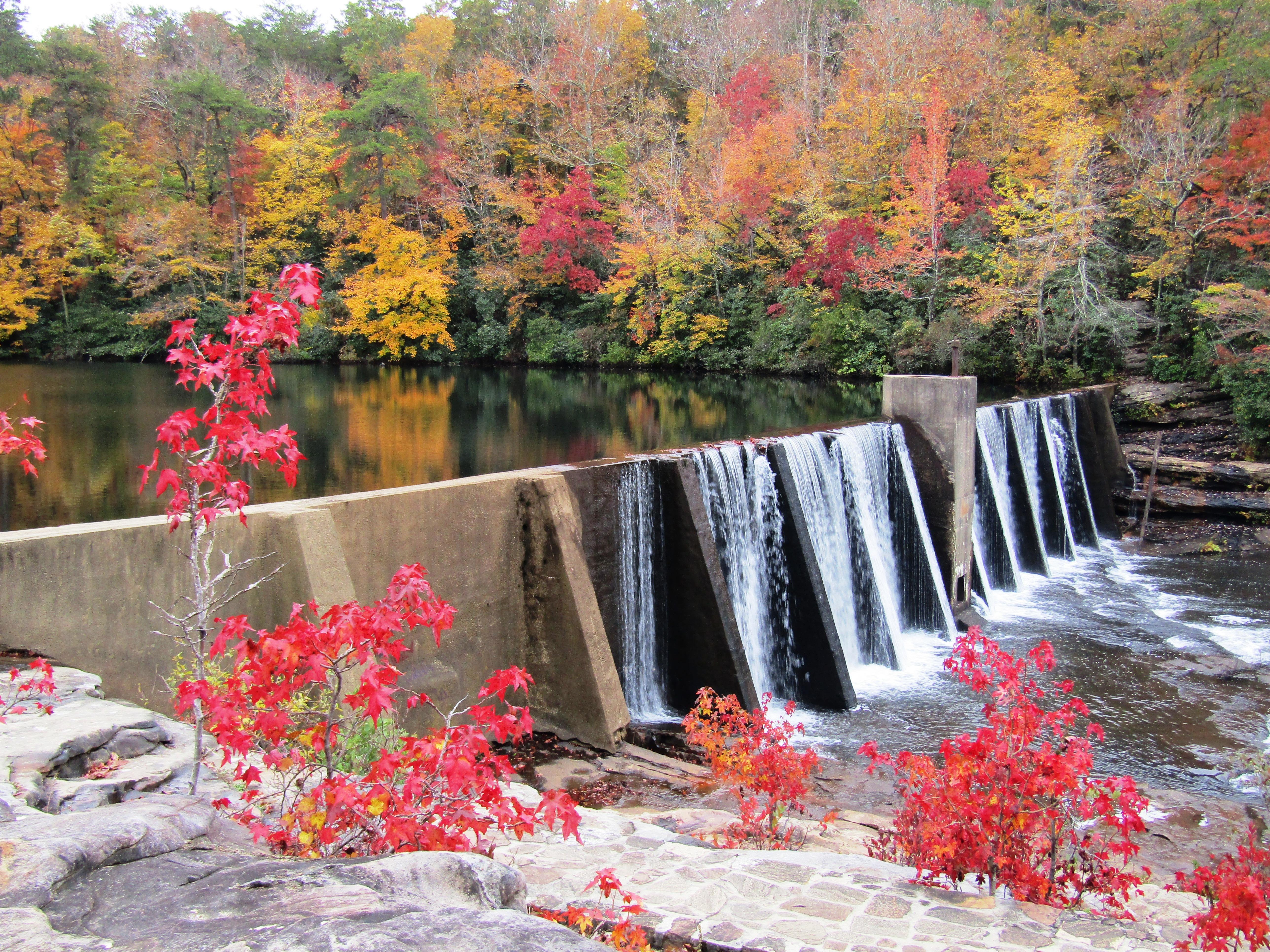DeSoto State Park DeSoto Falls Dam, Fall Color- Red, Yellow, Orange