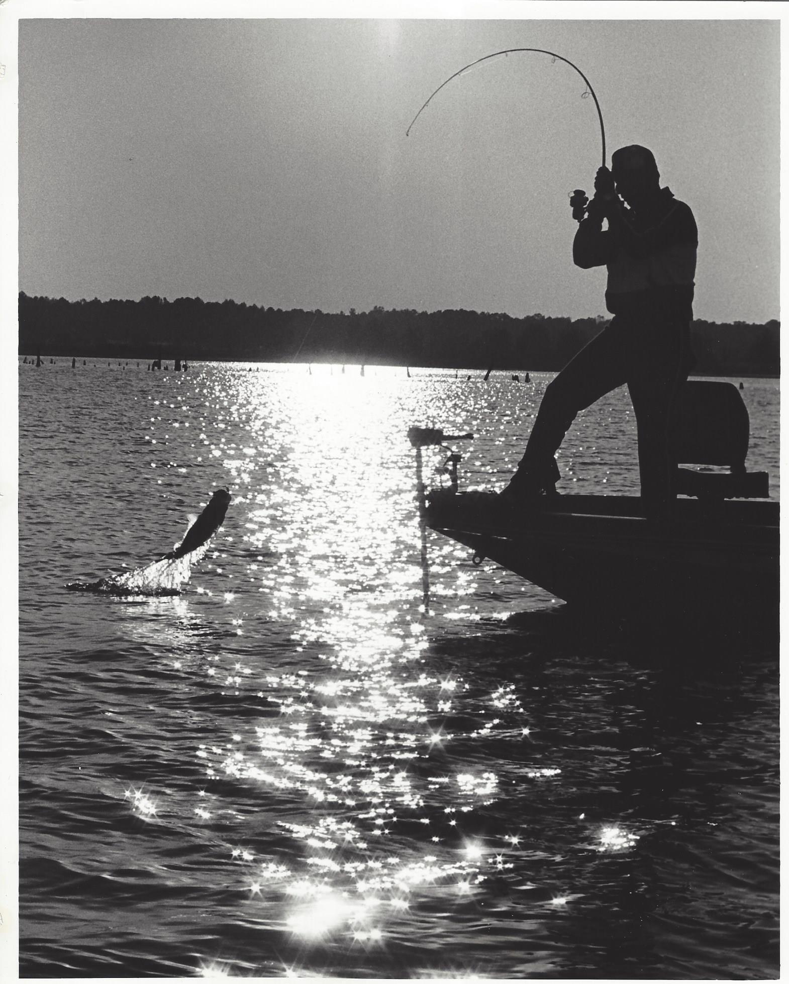 Lakepoint Fishing