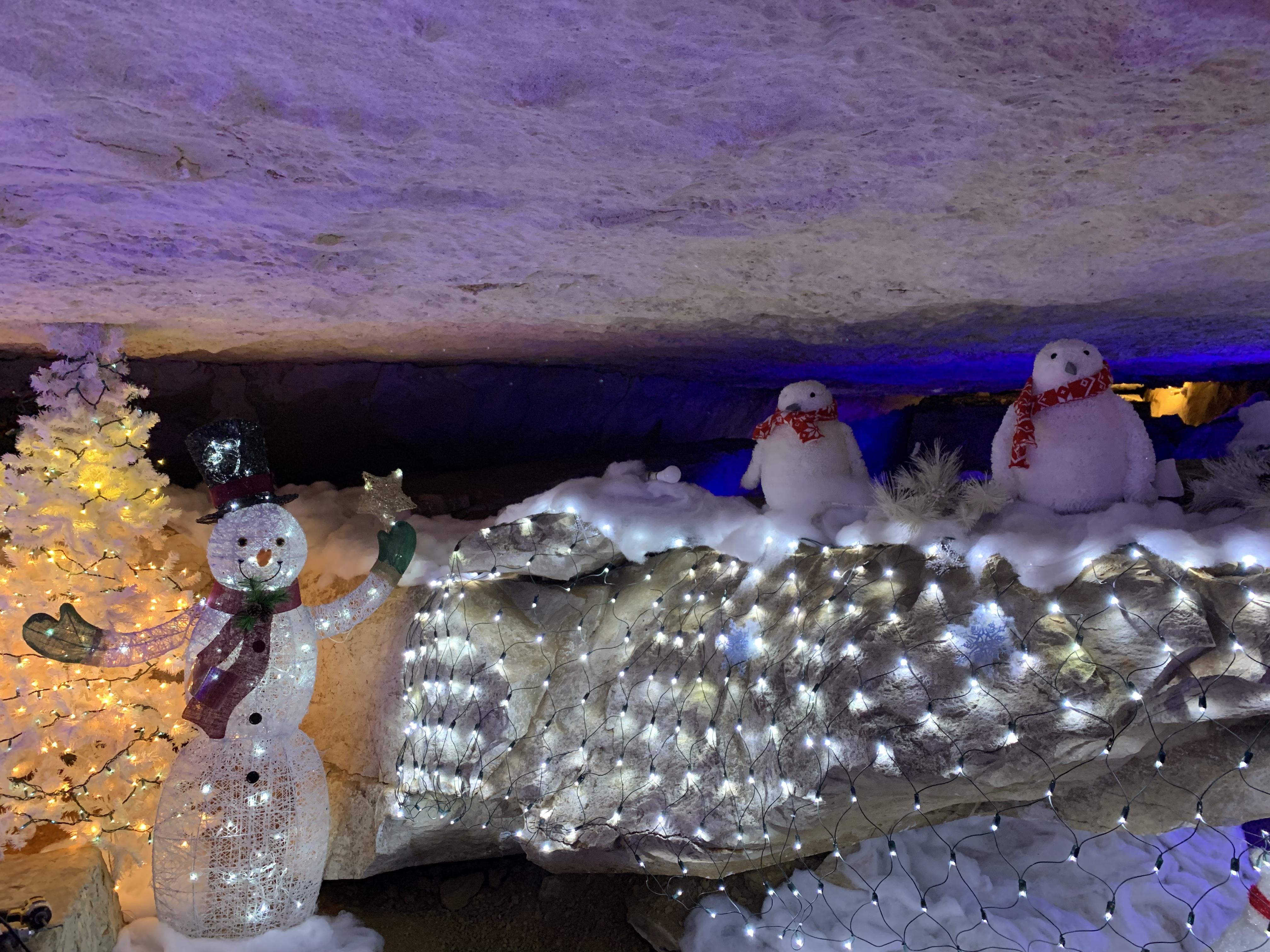 Snow Room 