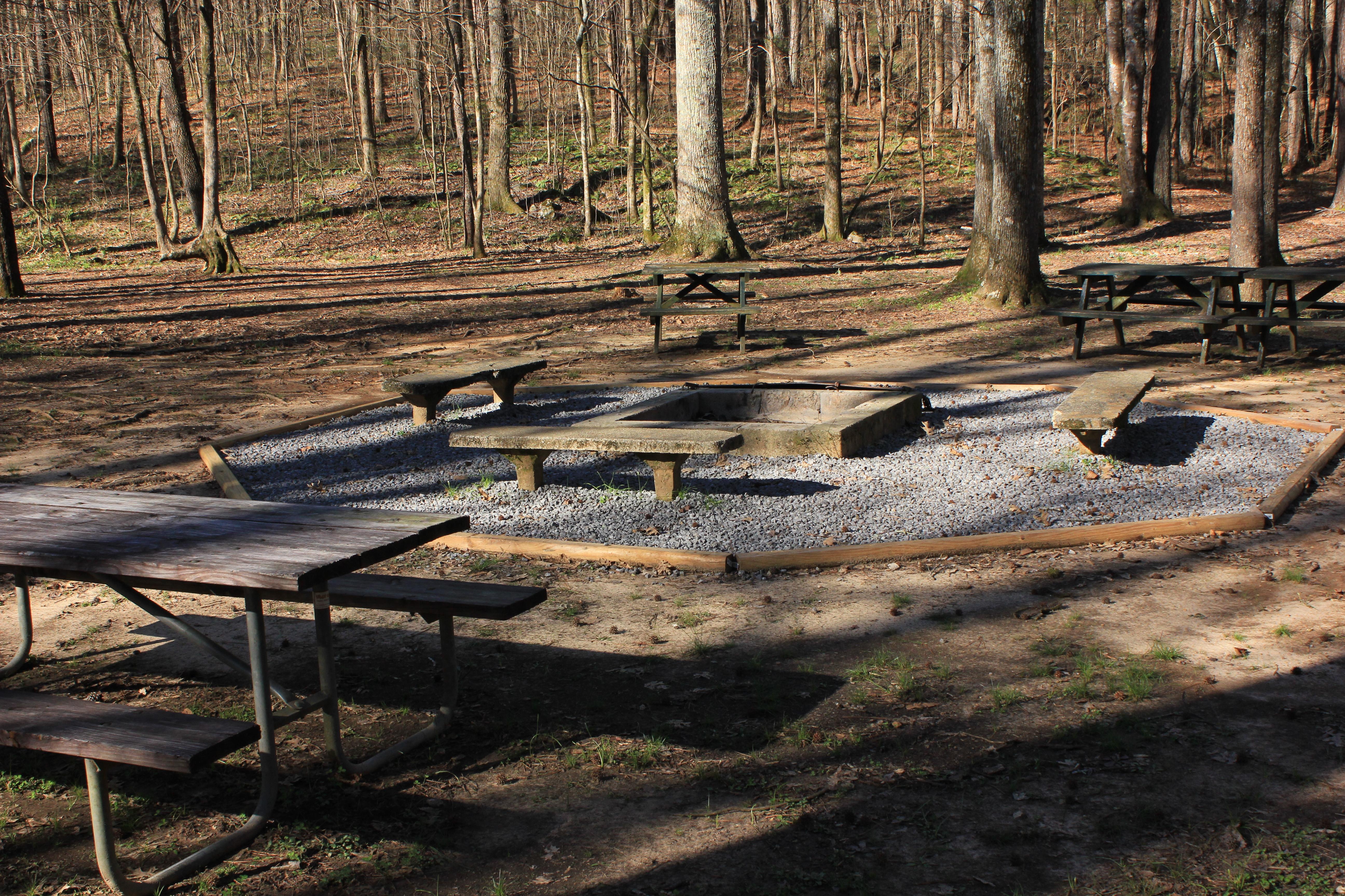 Group Campsite Fire Ring 