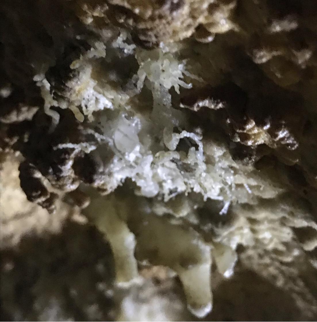 Active Formations 