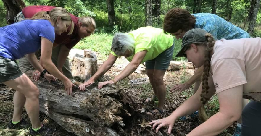 Cheaha Teacher Workshop