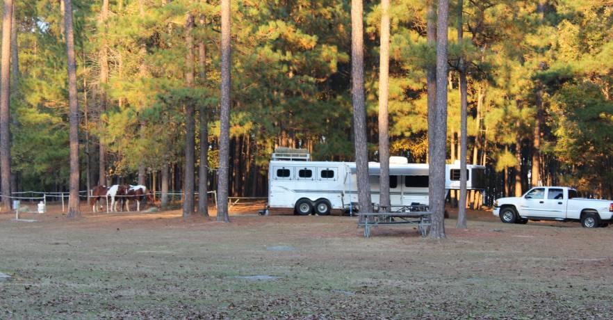 Horse Camping Camper