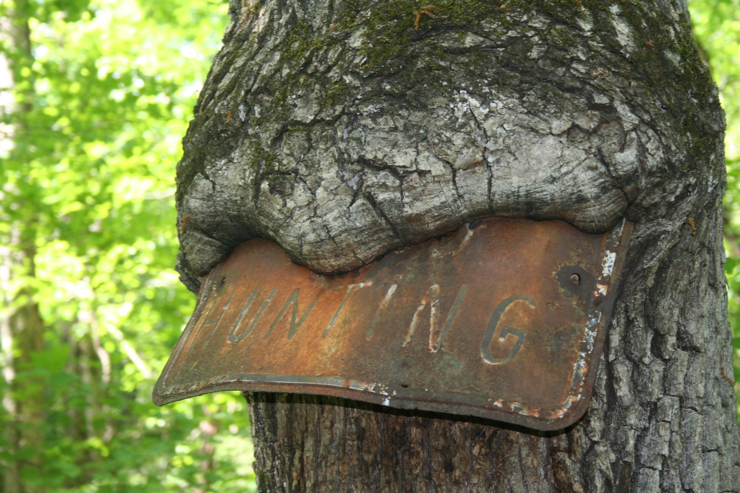 Tree eating sign