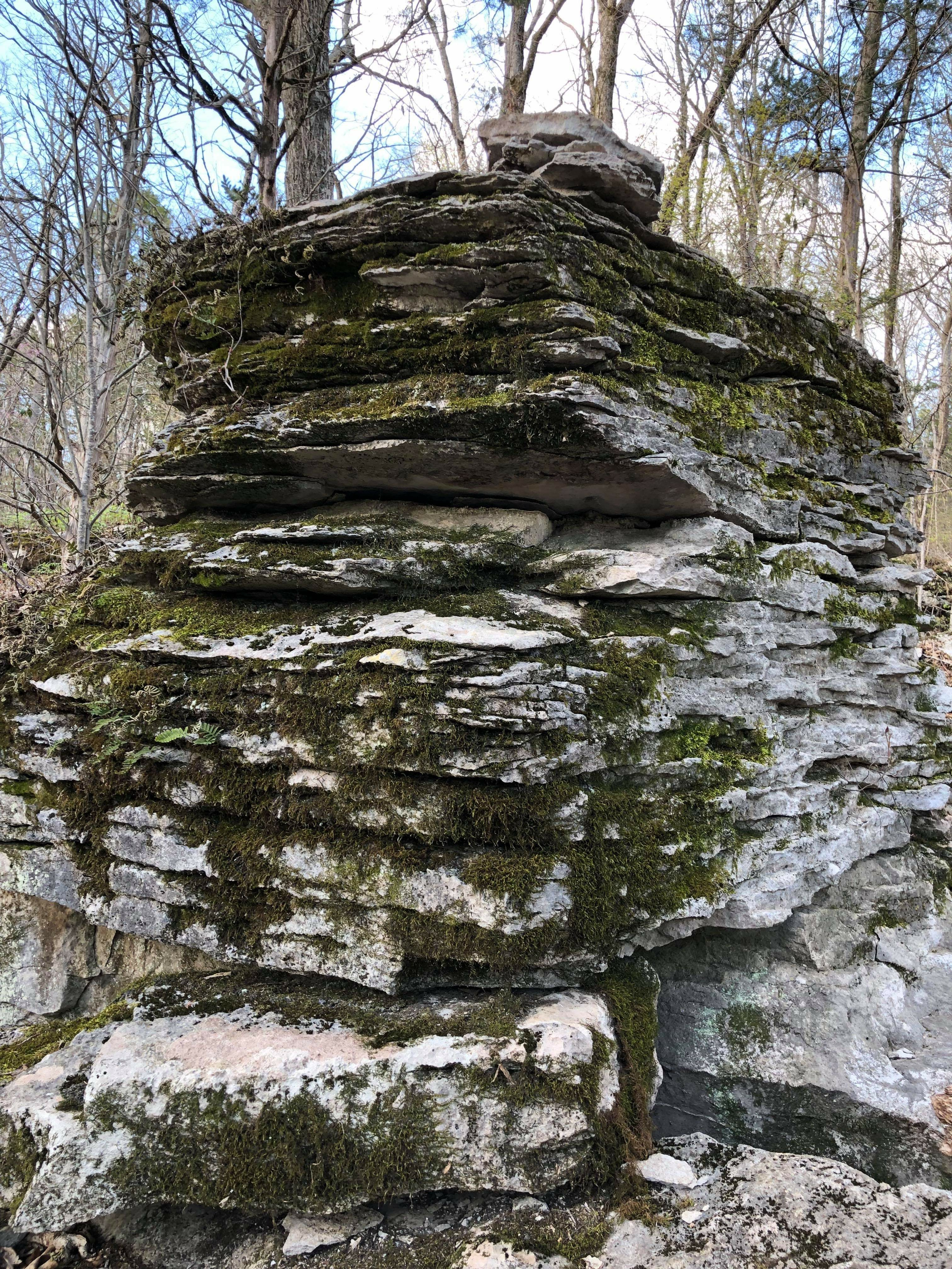 Rock Formation on Fossil Mountain Trail