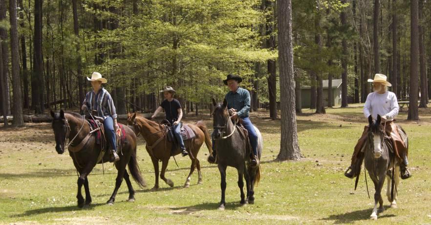 Riders On Horses