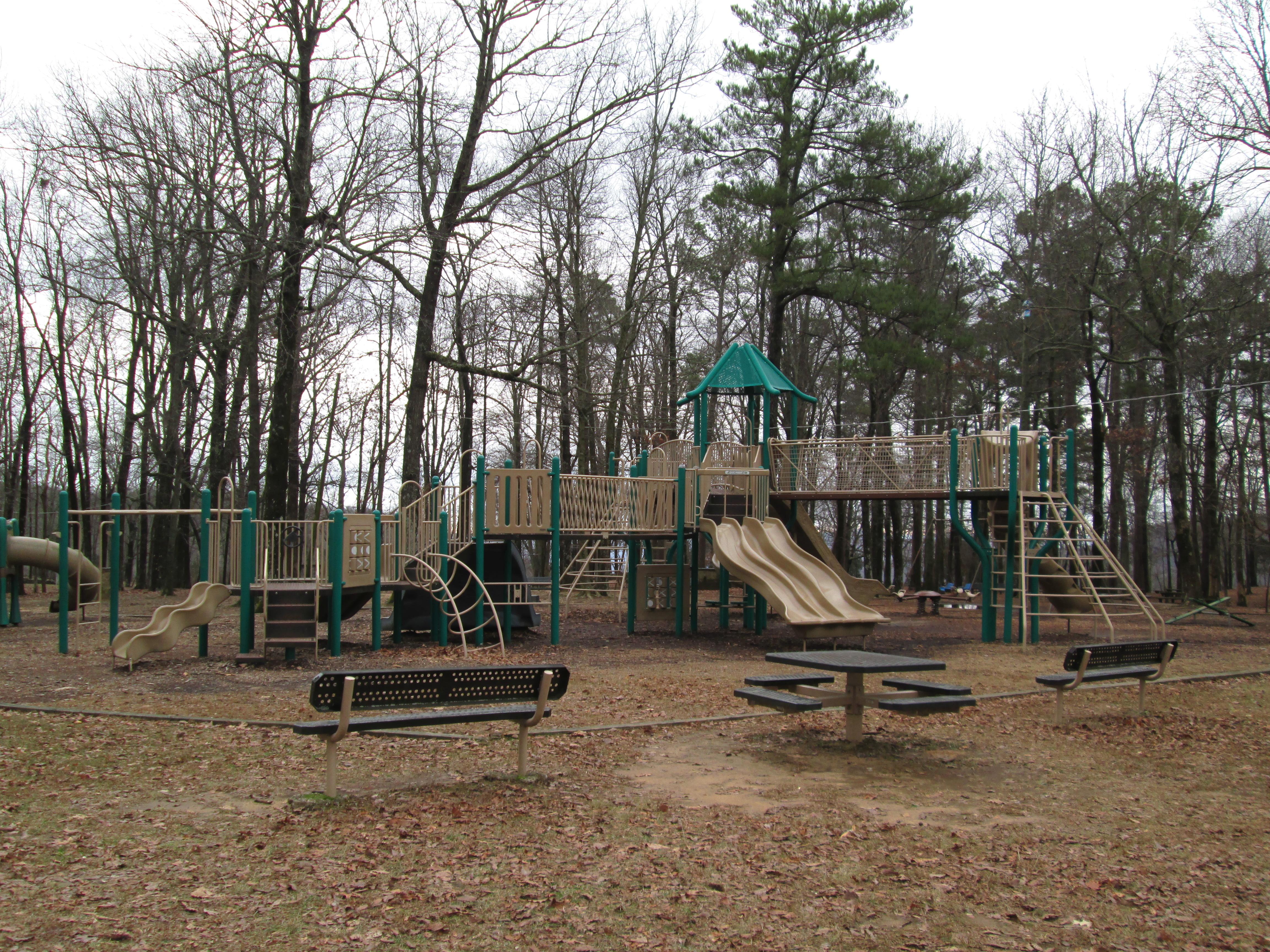 Picnic Area Playground 1 