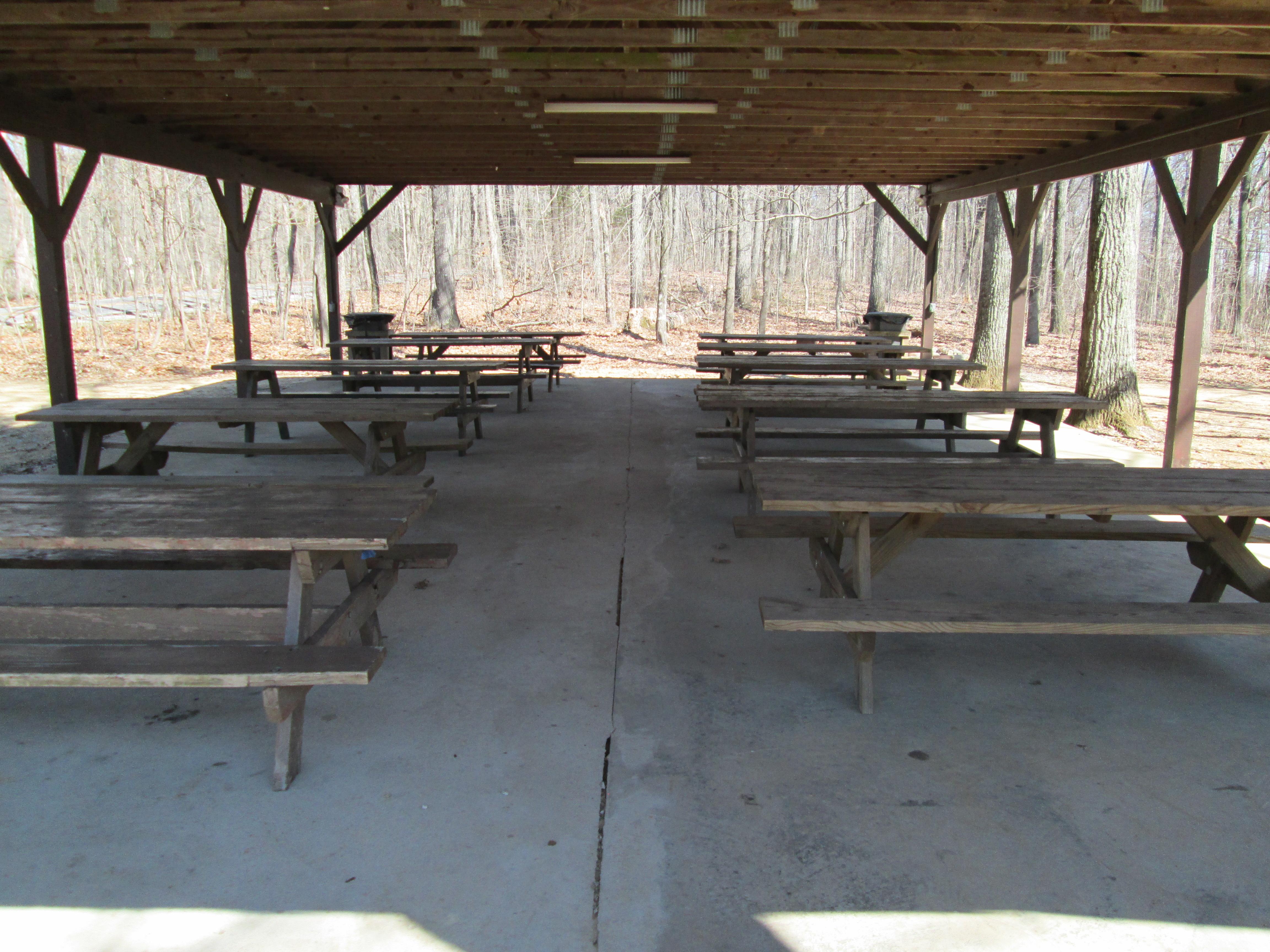 YACC Pavilion Interior