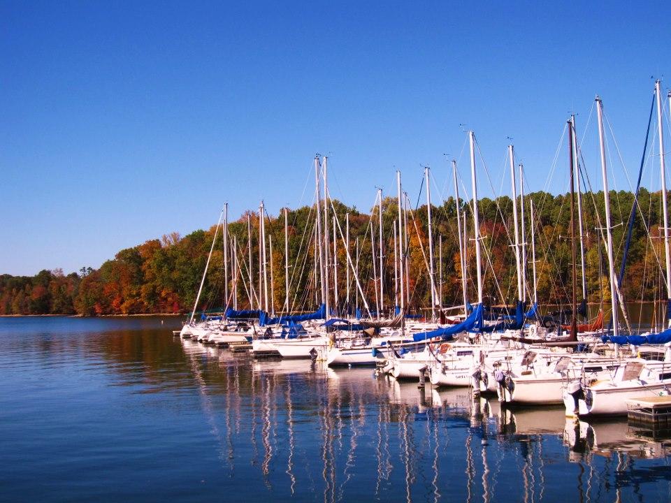 Joe Wheeler State Park Marina