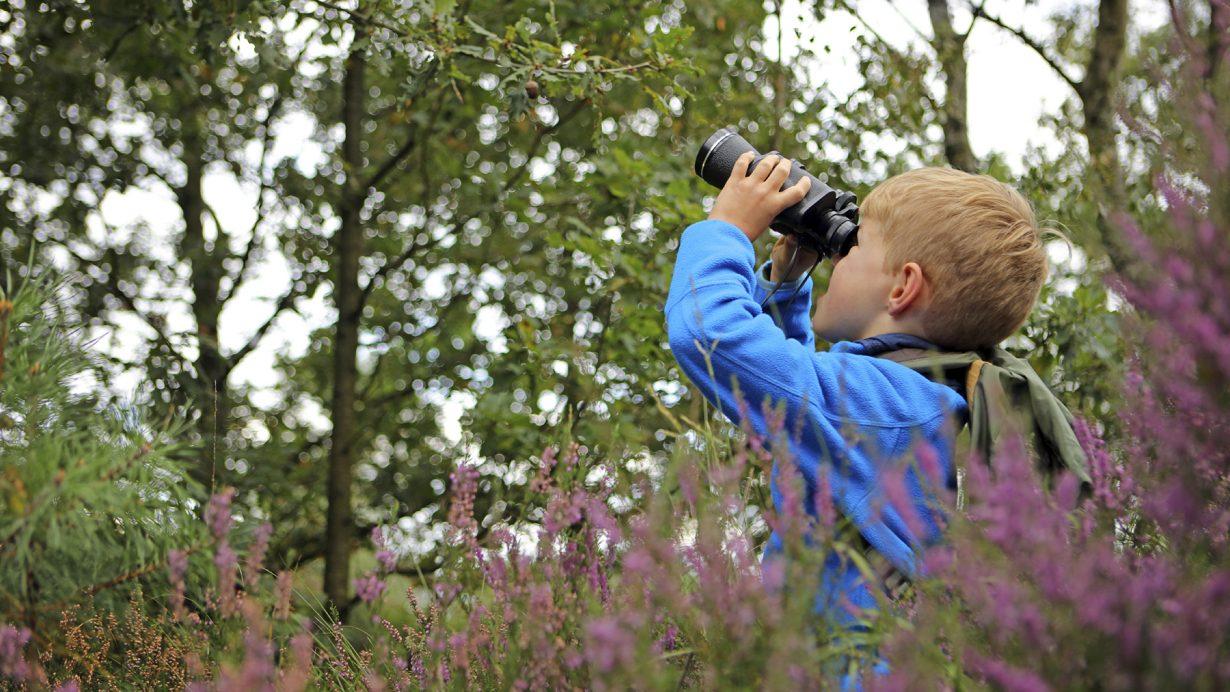 Cheaha Bird Watching