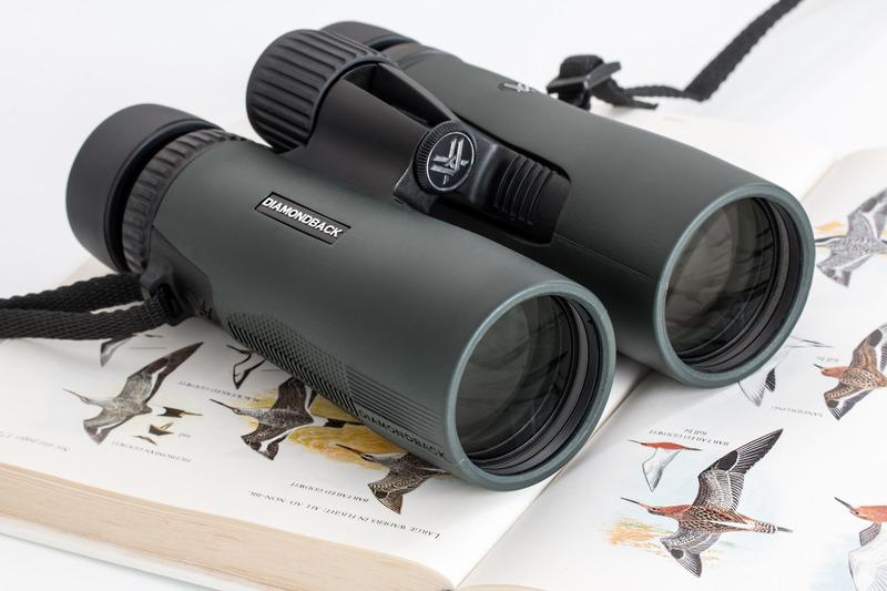 Cheaha Birding