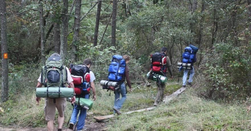 Backcountry campers