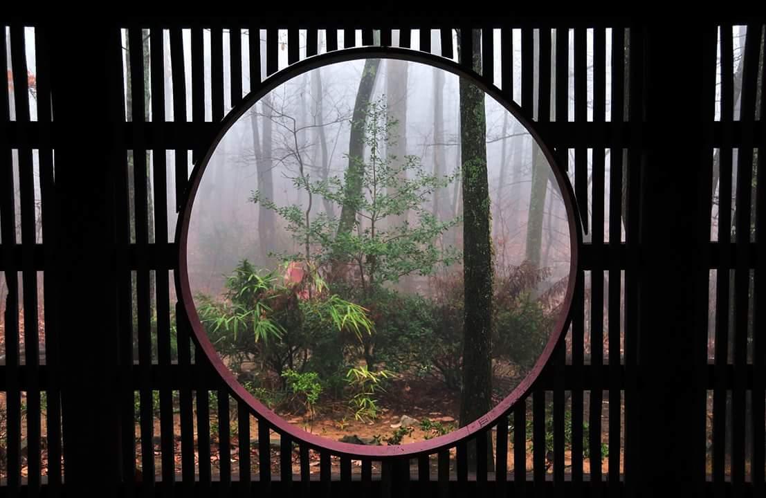 Tea House 2