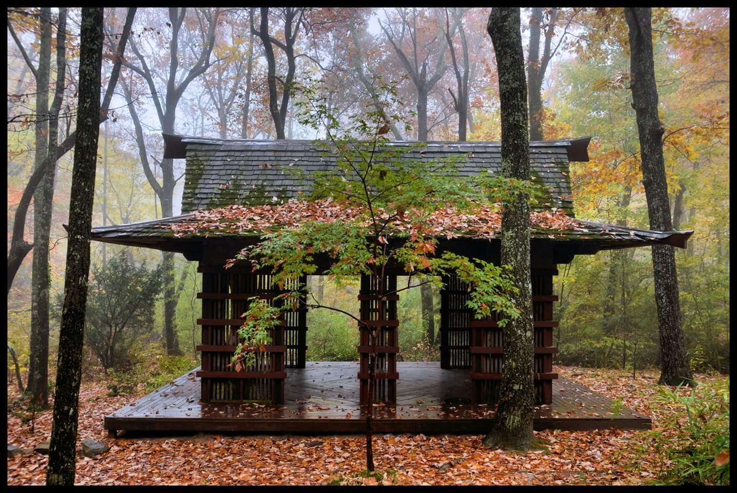 Tea House1