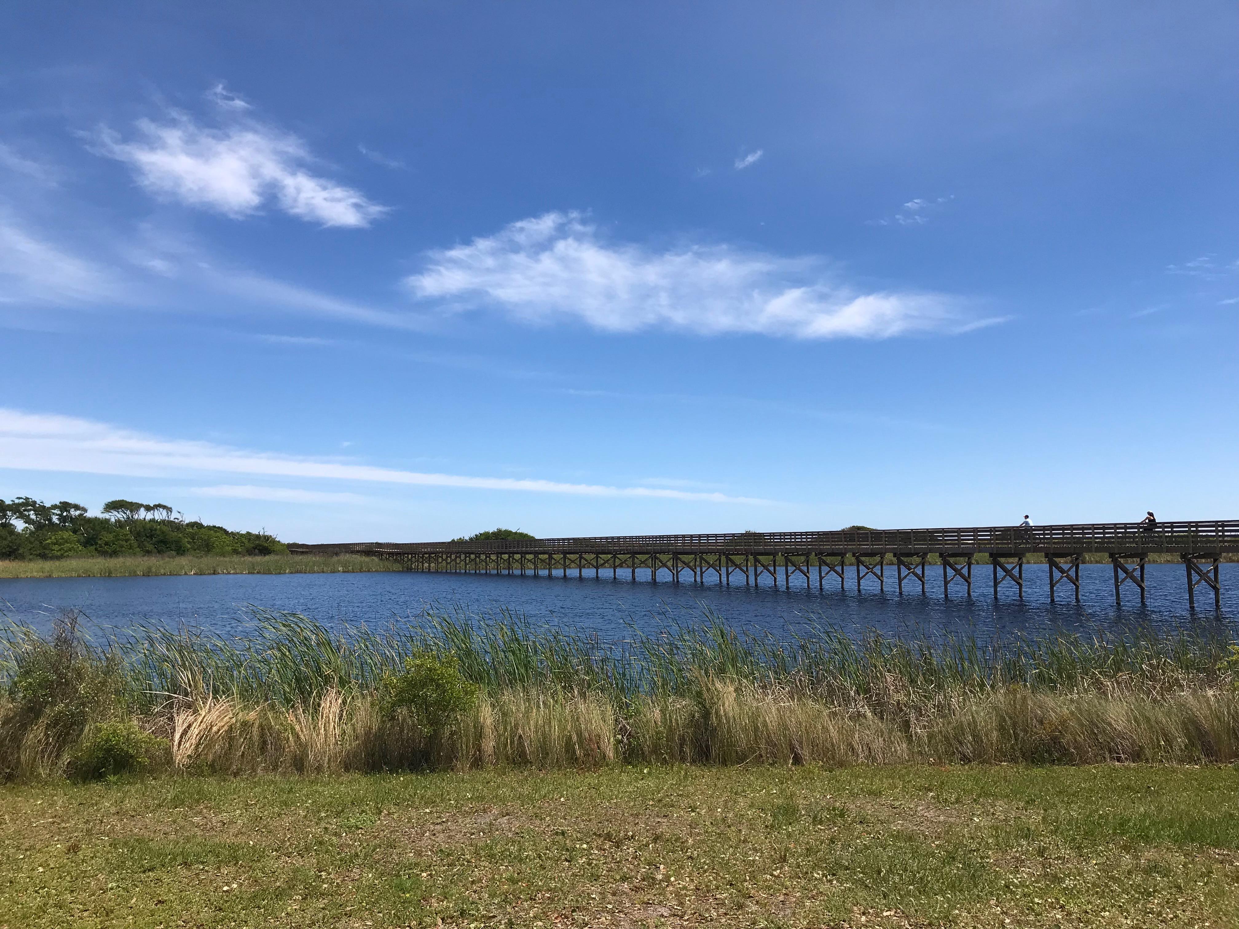 Lake Shelby Alapark
