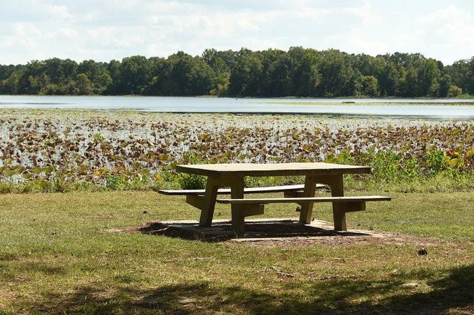 Lakepoint State Park Picnic