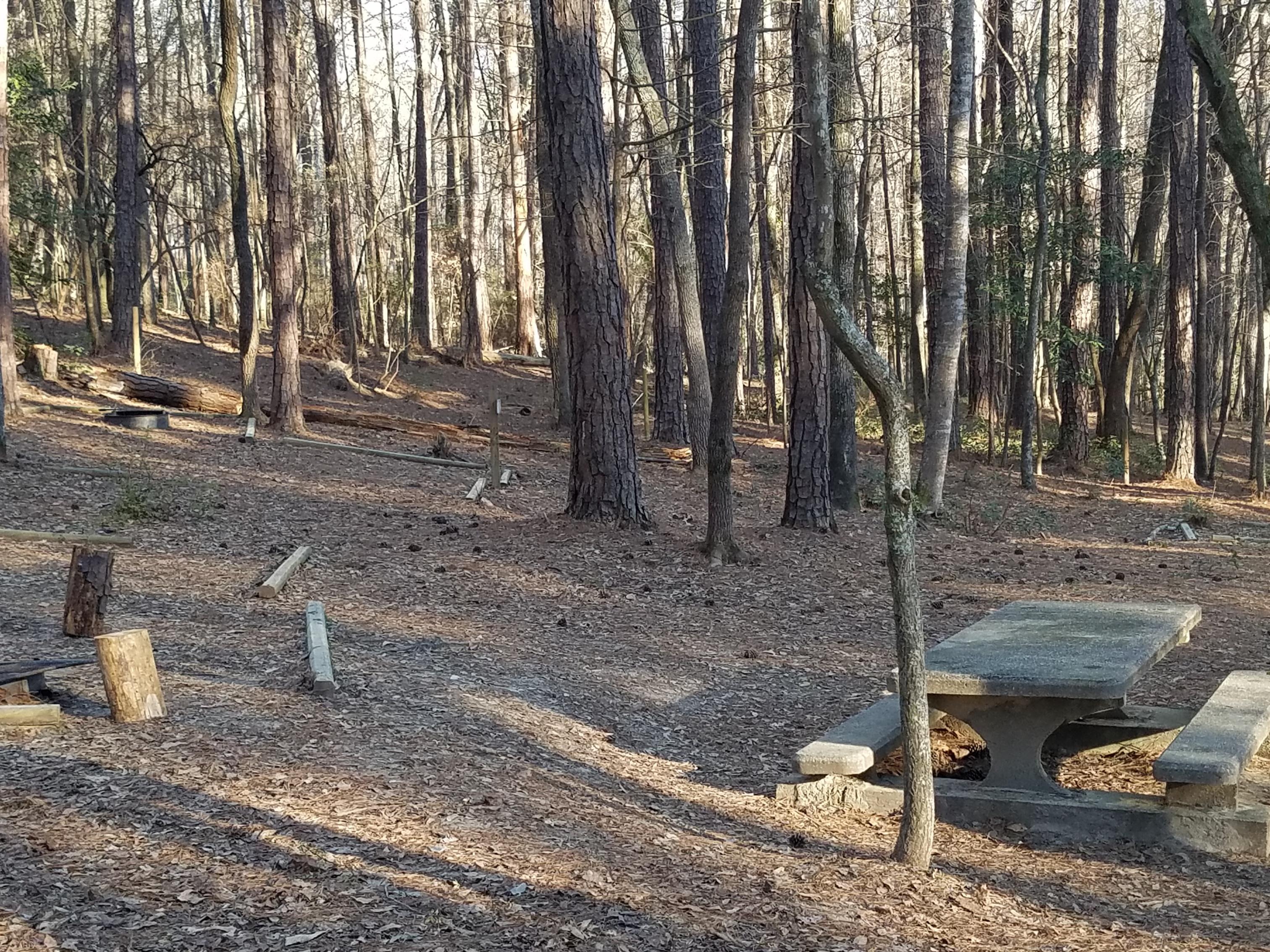primitive campsite