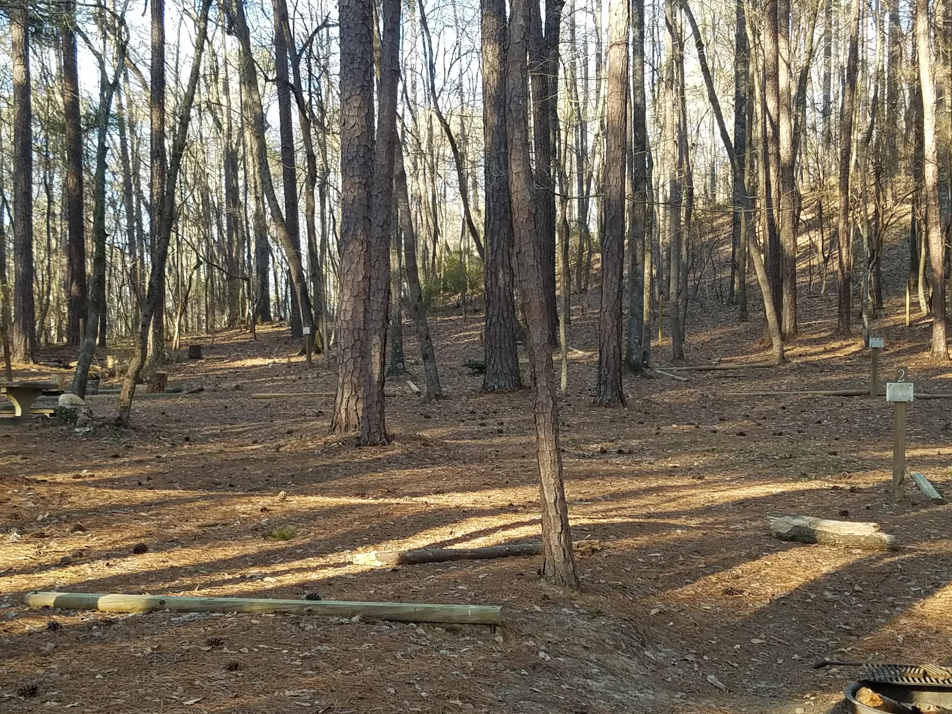primitive campsite