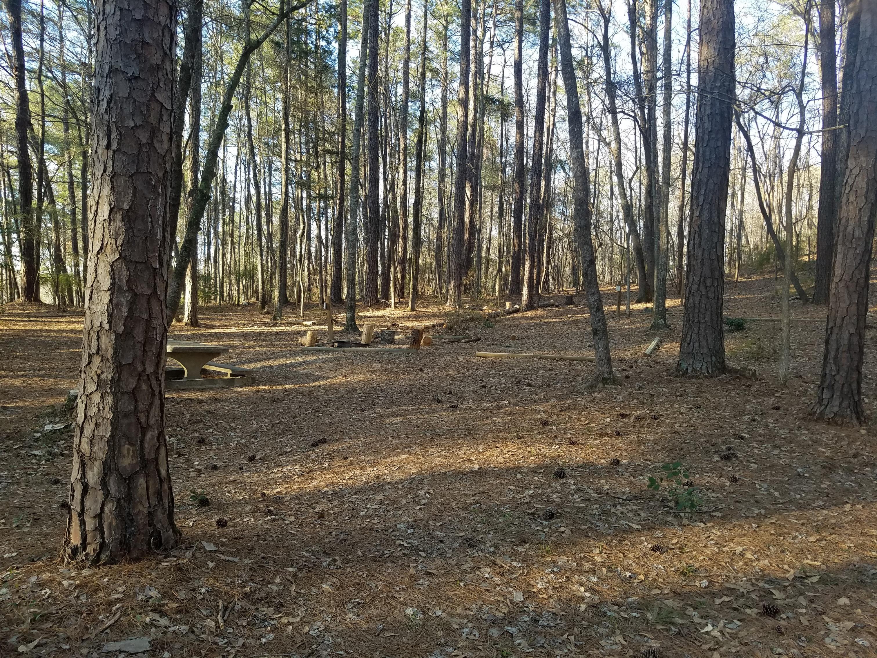 primitive campsite