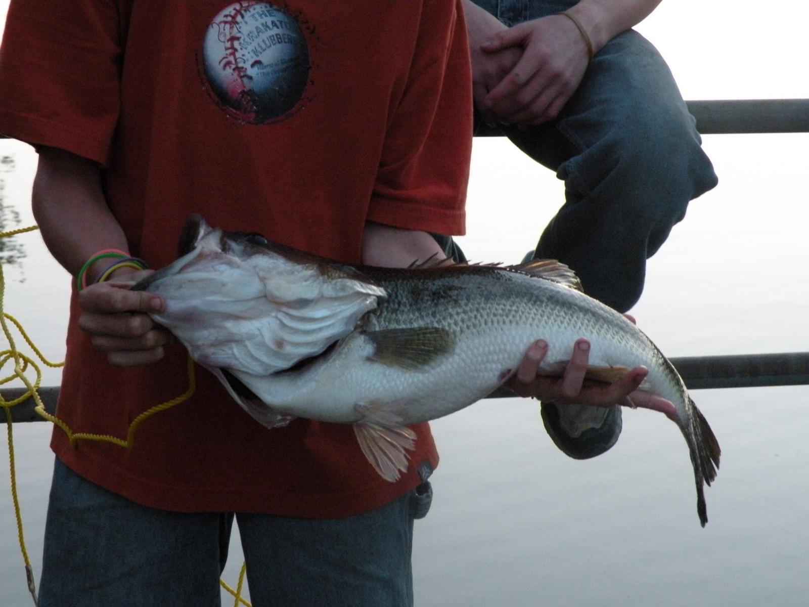 Lake Lurleen State Park Fishing