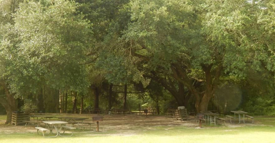 Blue Springs State Park Picnic Area