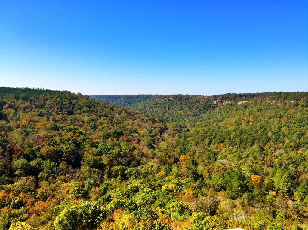 Bucks Pocket State Park Scenic Overlook  