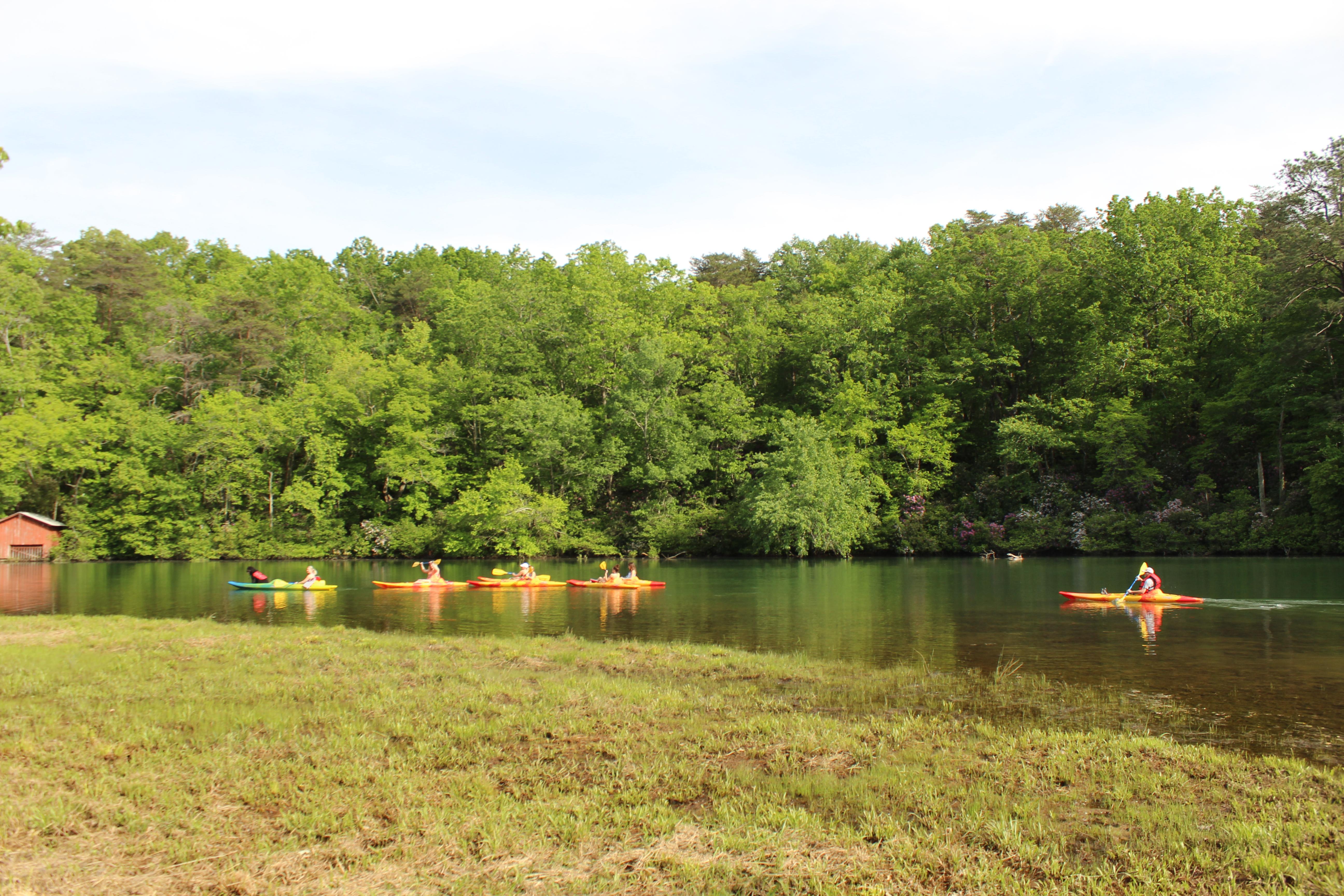 Kayak Little River Alapark