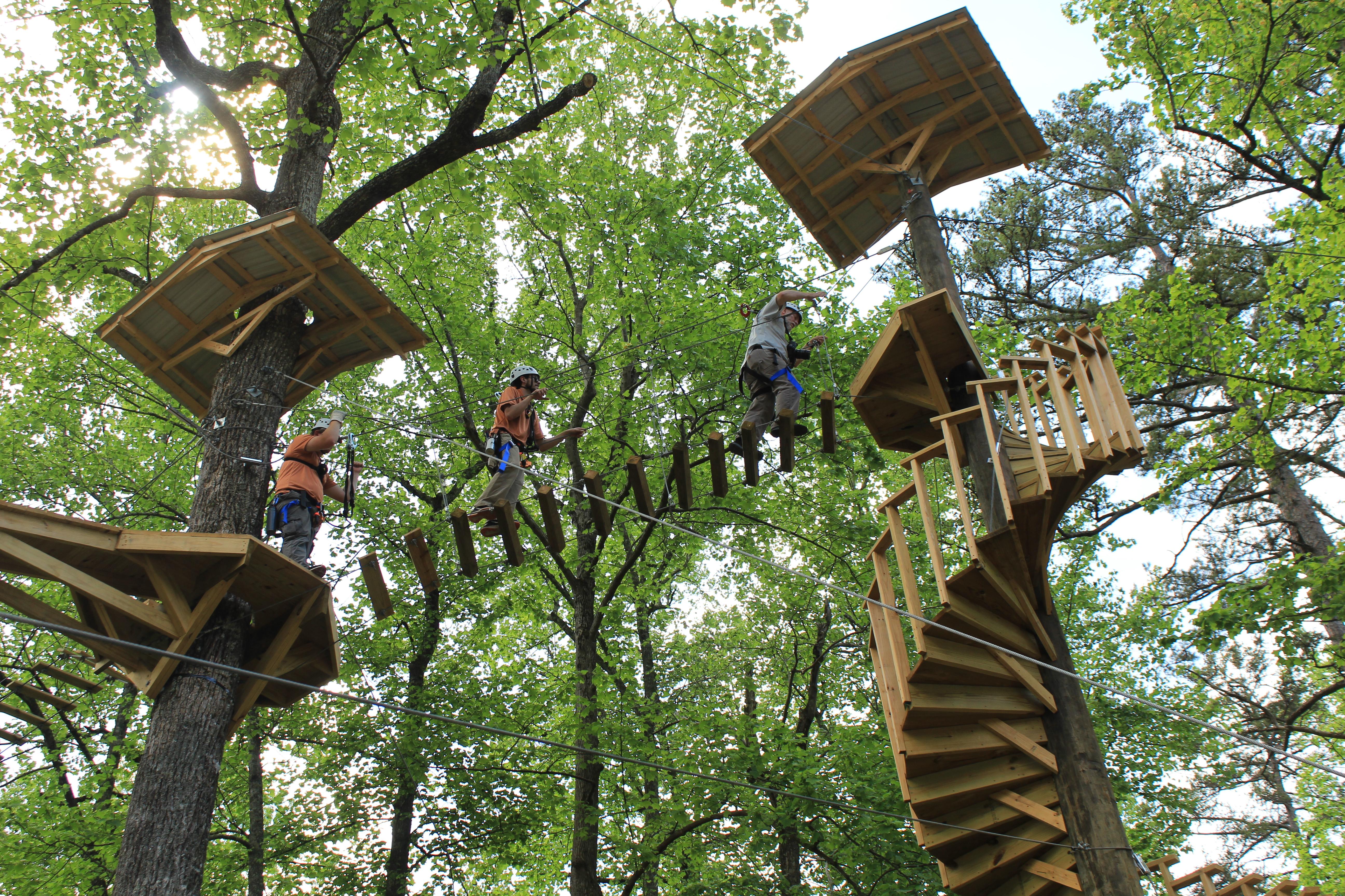 Zip Line Sky Bridge and Stairs