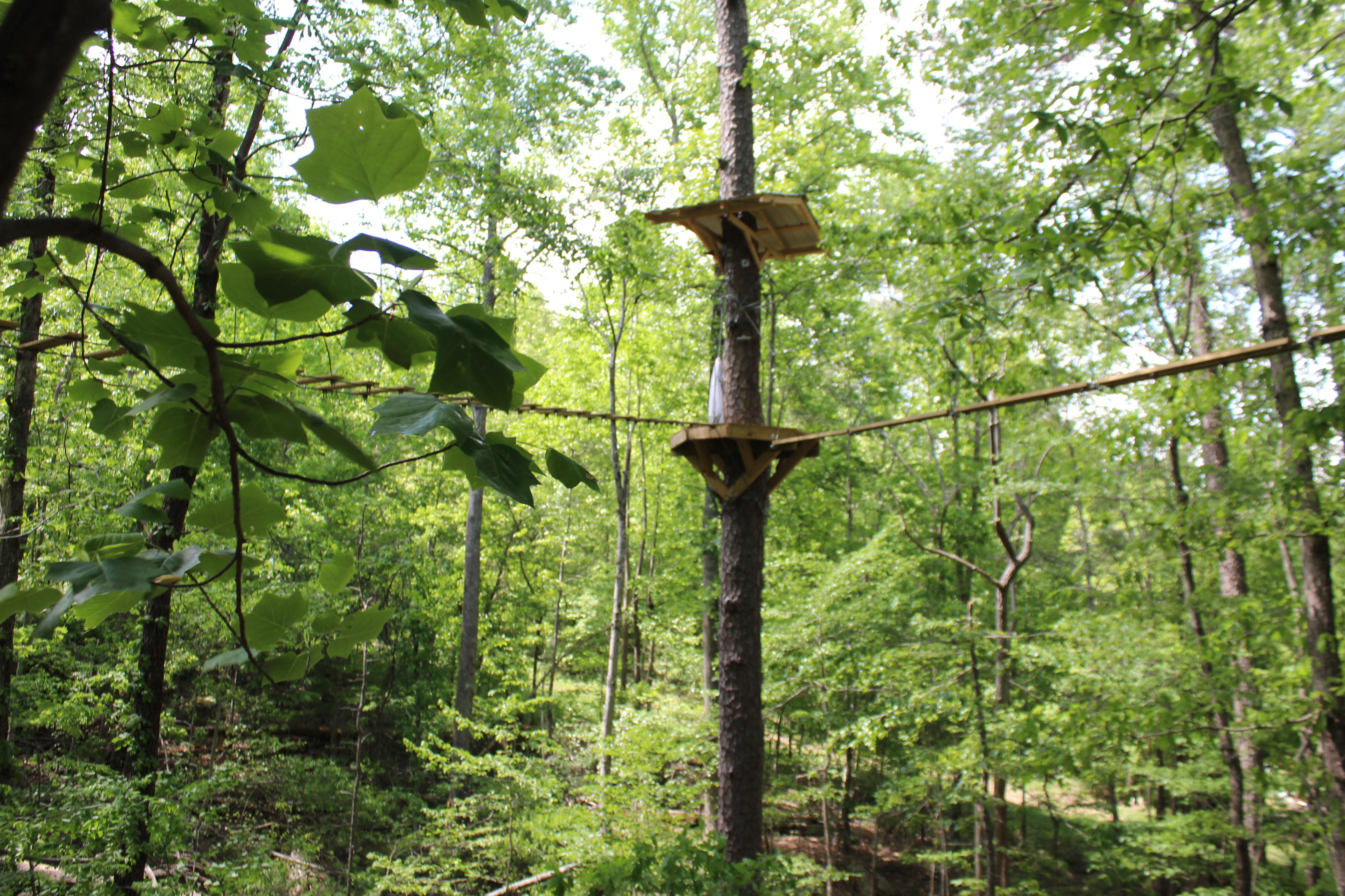 Zip Line Sky Bridge