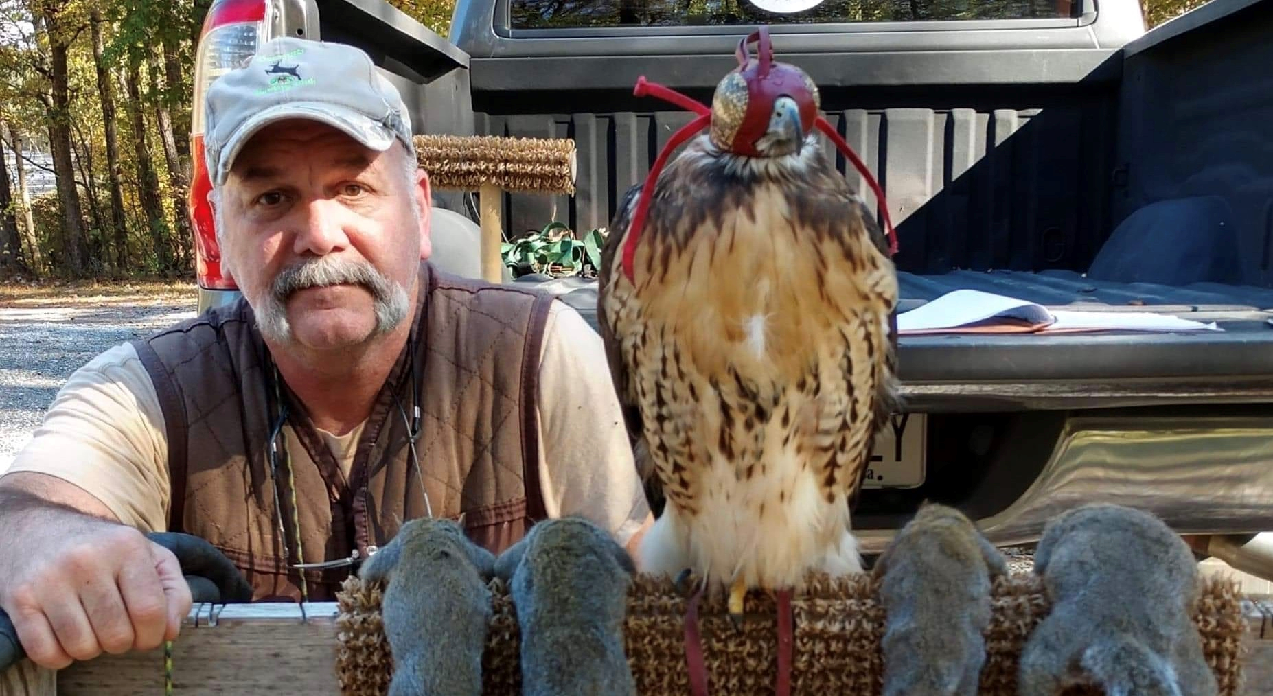falconry