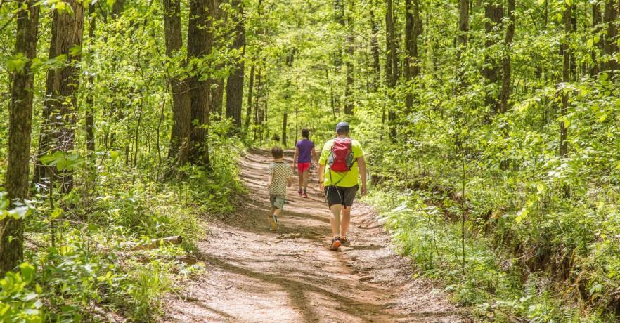 Oak Mountain Hiking Trails Hiking | Alapark