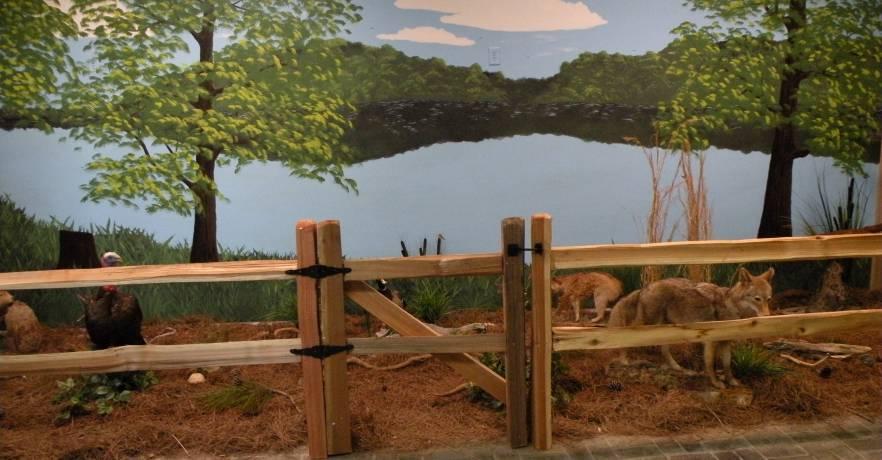 Lake Lurleen State Park Nature Center