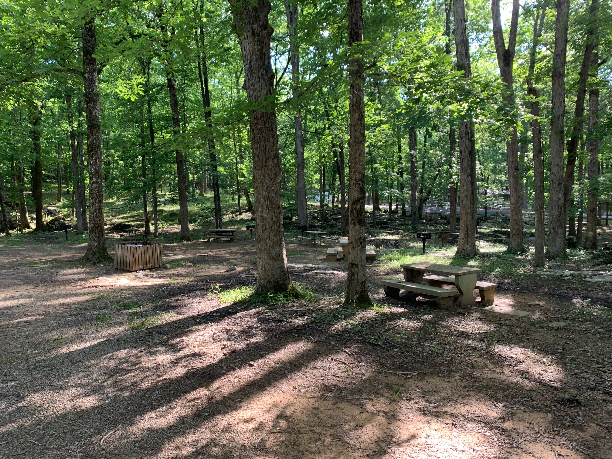 Picnic Area 