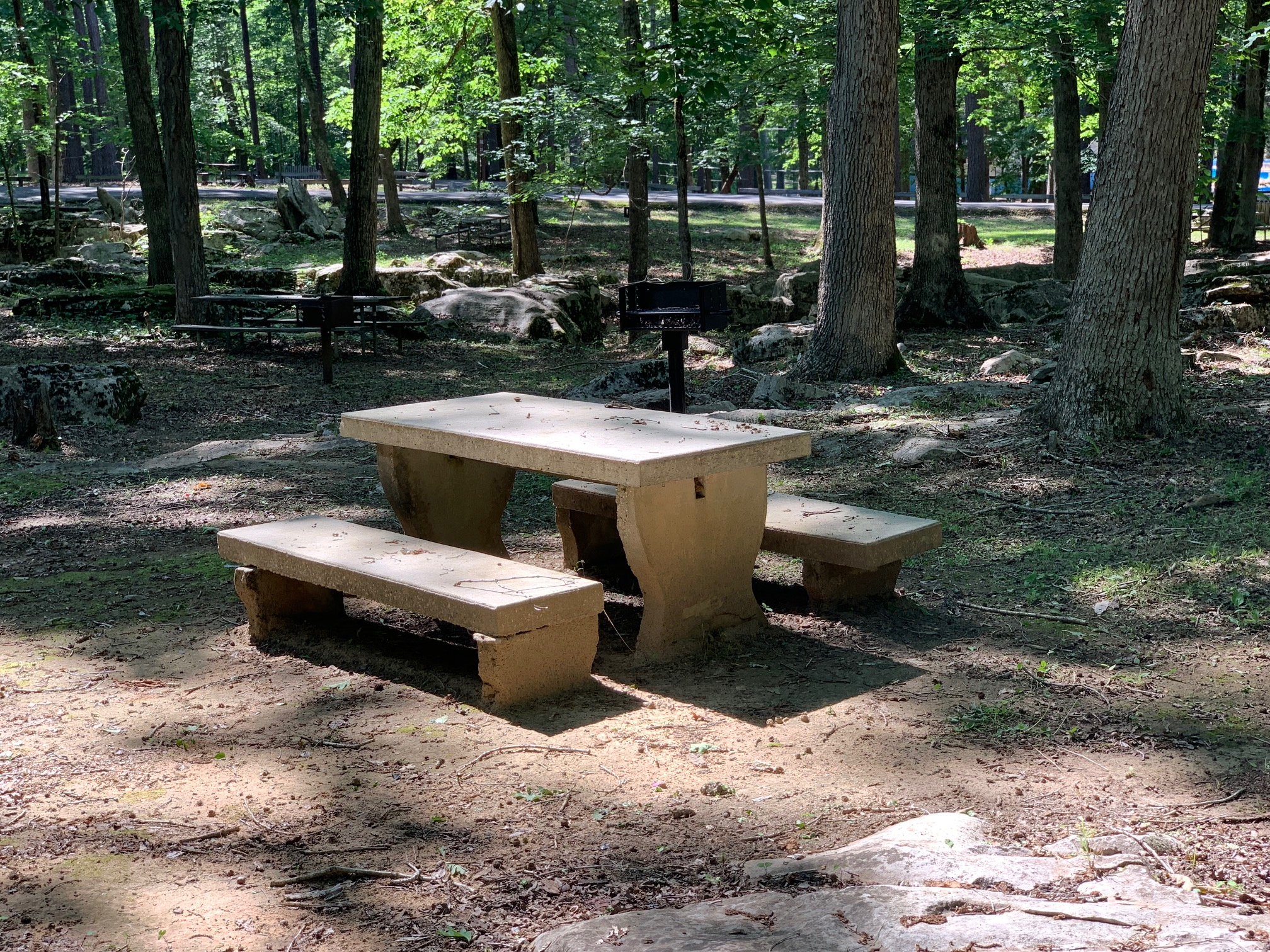 Picnic Table 